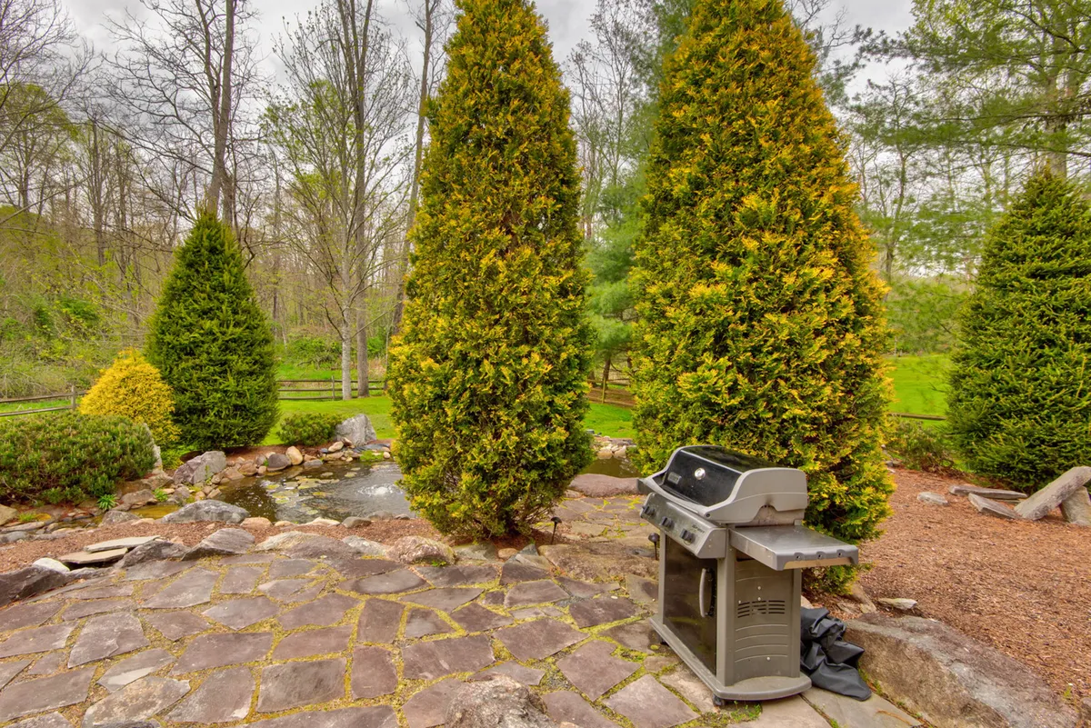 A stone patio nestled among tall evergreens features a prominent gas grill, inviting group barbecues. The surrounding natural stream and lush landscape add a layer of serenity, perfect for outdoor dining and relaxation.